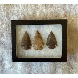 Arrowhead Collection In Display Box #20